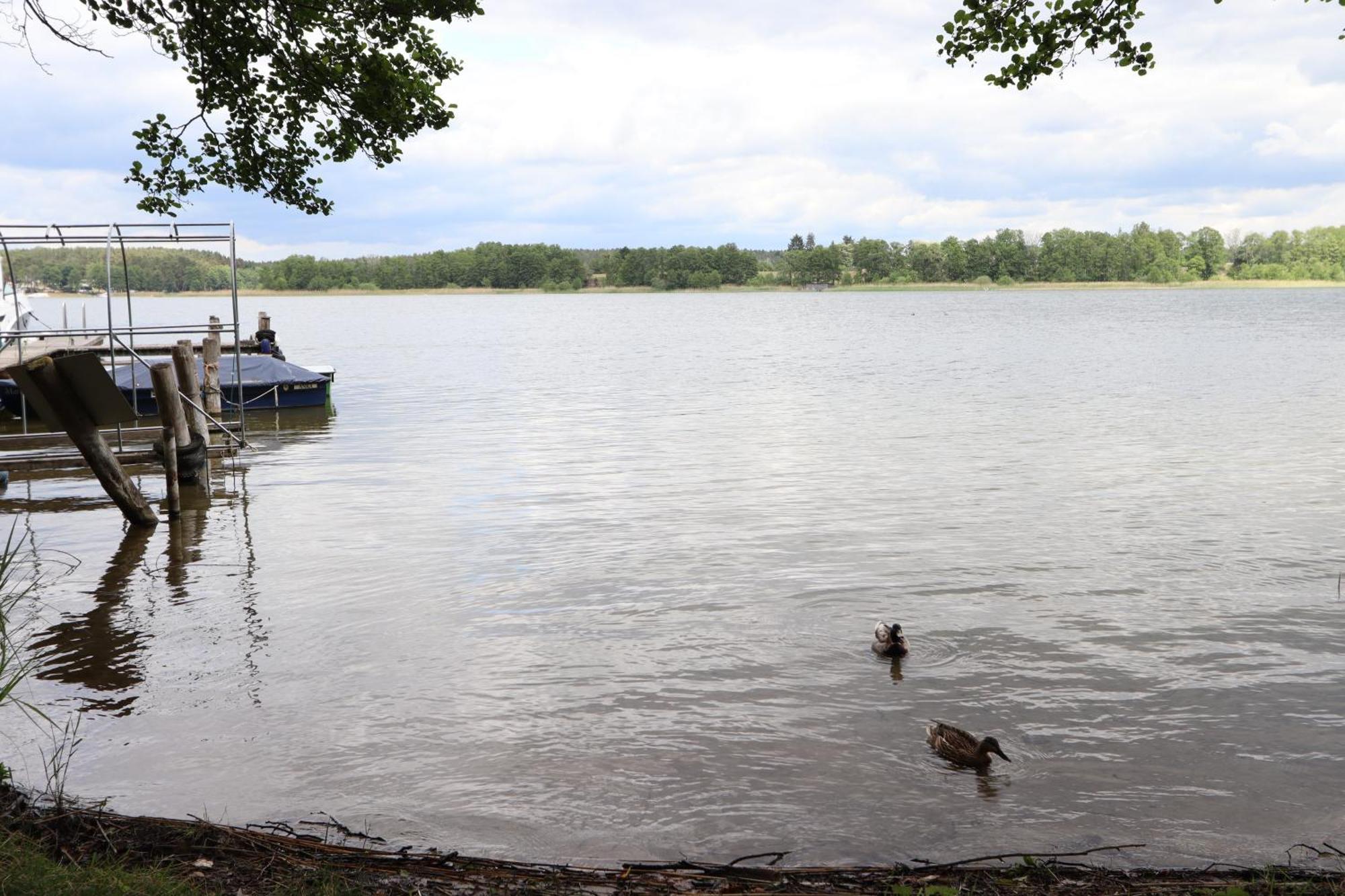 Ferienwohnung Habicht Villa-Paelitzsee Grosszerlang Luaran gambar